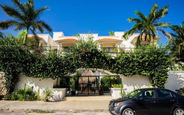 Arena Blanca 1 1 Bedroom Condo