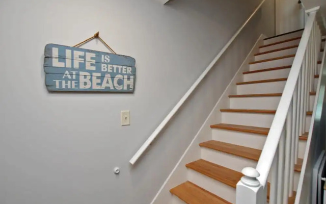 Sand Dollar by Youngs Suncoast