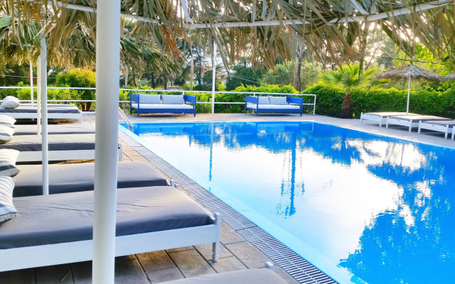 Trees Art Boutique Hotel