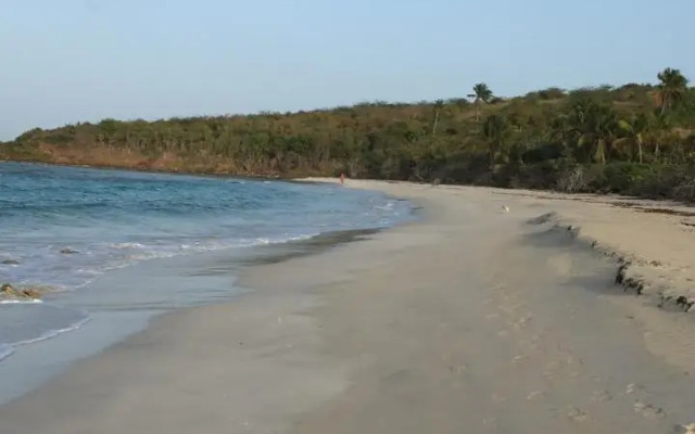 Naniqui Natural & Relax Adult Only