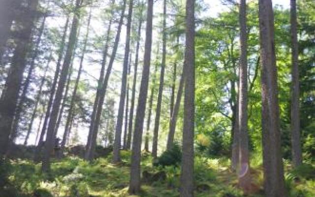 Ruskin Lodge