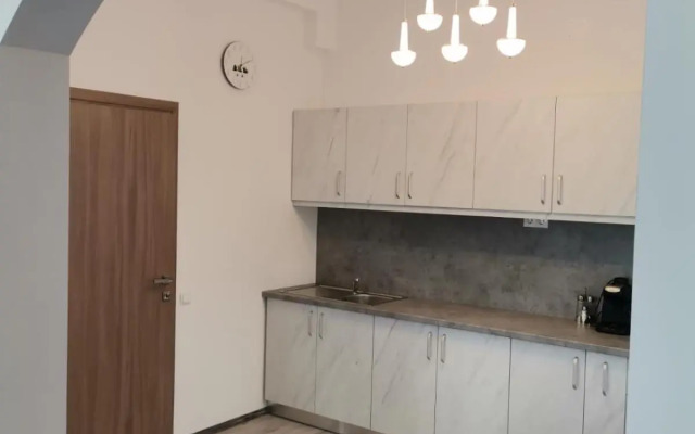 Vila President Sovata