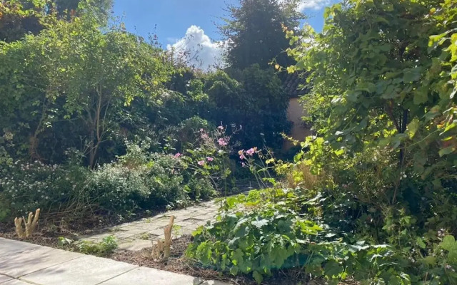 Spacious House in the Historic Center of Bruges