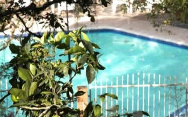 Hotel California Pacho