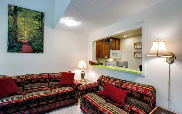 Snowater Condo #38 - A Great Mountain Retreat!