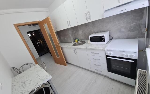 Apartament Ultra Central 3