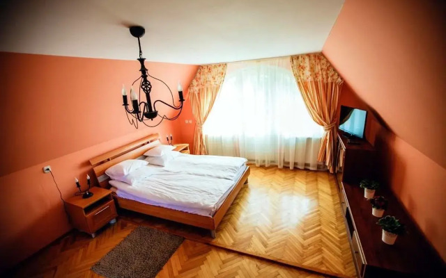 Червона Рута