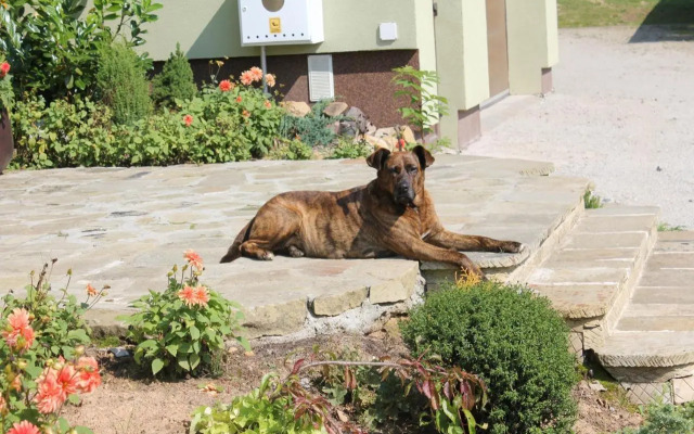 Słoneczna Zagroda - Sunny Ridge Farm