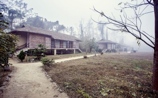 Temple Tiger Green Jungle Resort