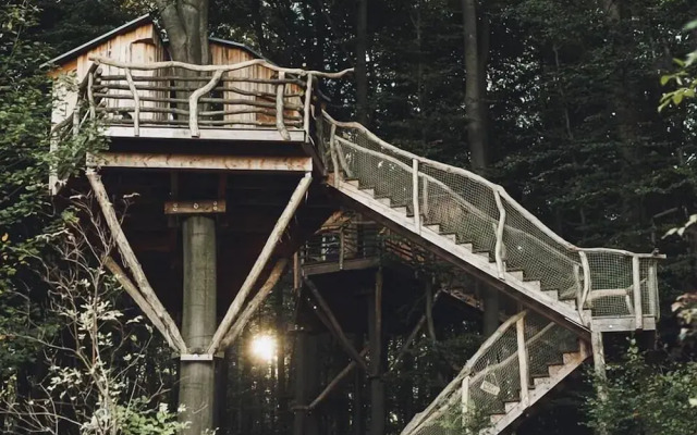 Robins Nest Baumhaushotel