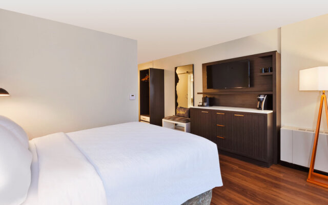 Holiday Inn Rochester Downtown