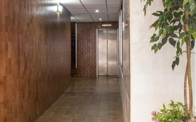 Hotel Allende 104