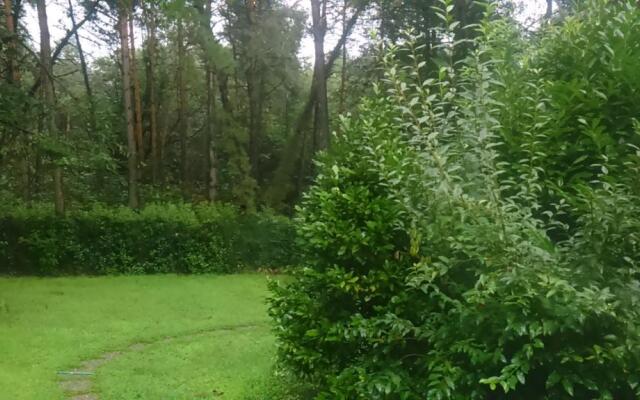 l'oasi nel bosco