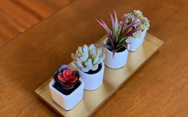 Cozy Bungalow in Downtown Loveland w/Free Bikes!