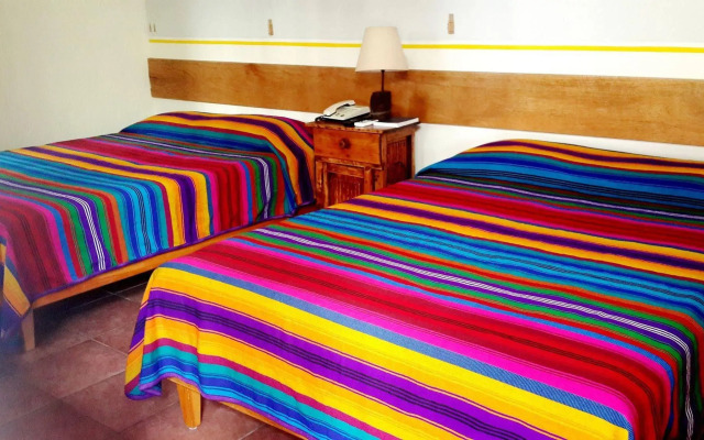 Árbol de Fuego Eco-hotel, a green experience in the city