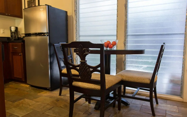 Aina Nalu Condo A107 - 2 Br Condo