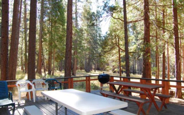 RedAwning Cabin #1B Bear Den