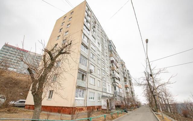 Cozy studios on Kotelnikova Street