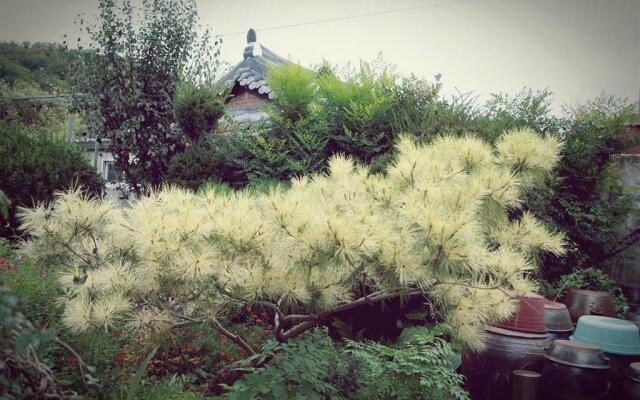 Jeonju Geune Hanok Guesthouse