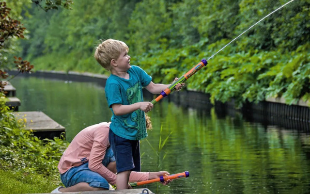 Bungalowpark It Wiid 38963