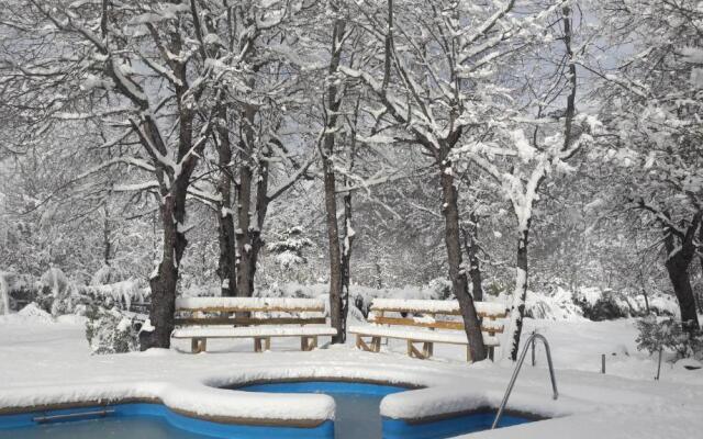 Cabañas Tronco Mayen