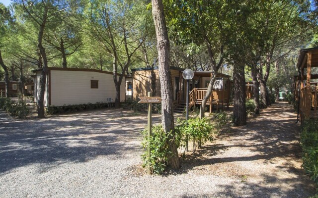 Gineprino Marina di Bibbona