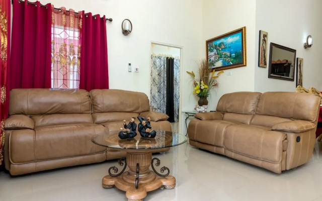 Areca 3B Oasis Drax Hall lot 221