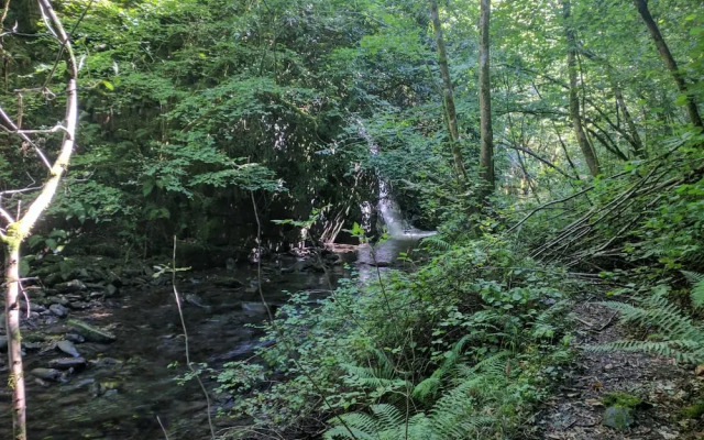 Apartamento Cabañaquinta Senderista