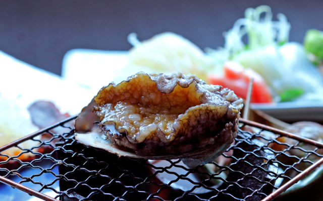 Kumomi Onsen Kagoya