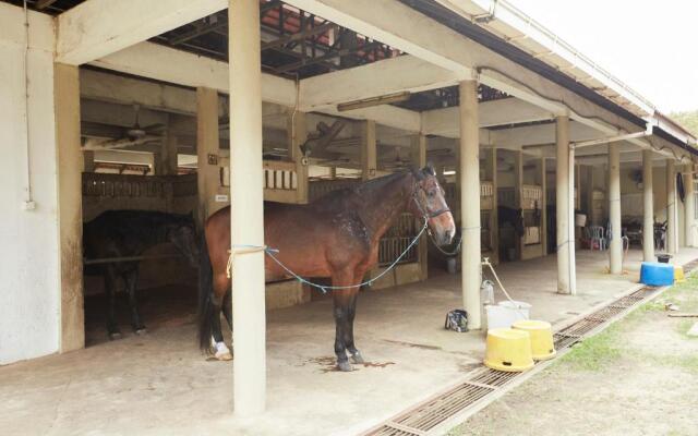 Terengganu Equestrian Resort