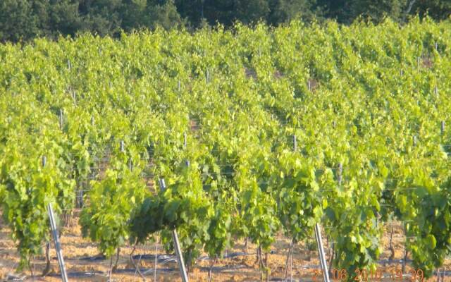 House With 4 Bedrooms in Nans-les-pins, With Wonderful Mountain View,