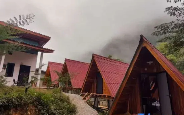 Mimosa Backpackers Hostel
