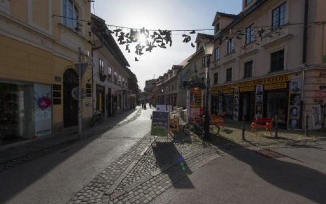 Studio In Ljubljana Center