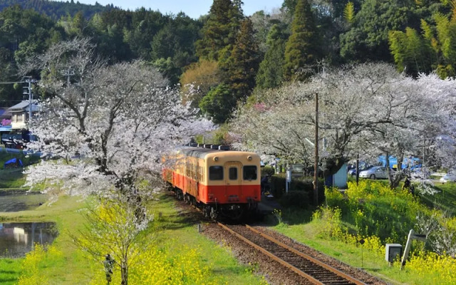 Ichihara Marine Hotel