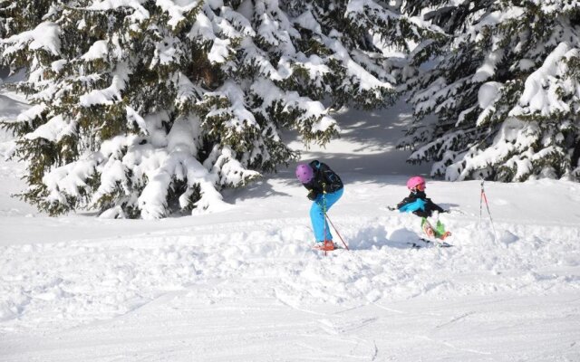 Chalet Edelweiss