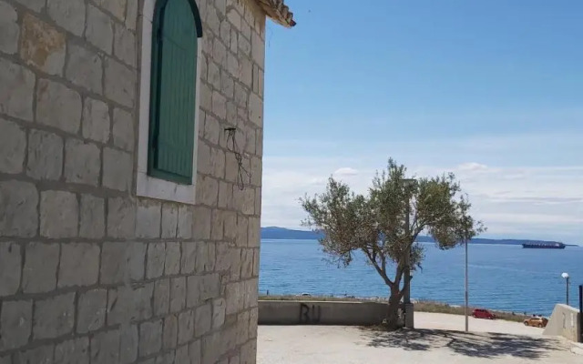 Split Seaside Darling