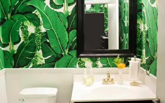 The Urban Jungle Hostel