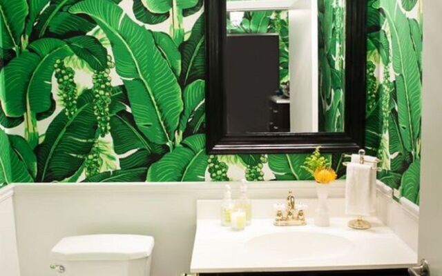 The Urban Jungle Hostel