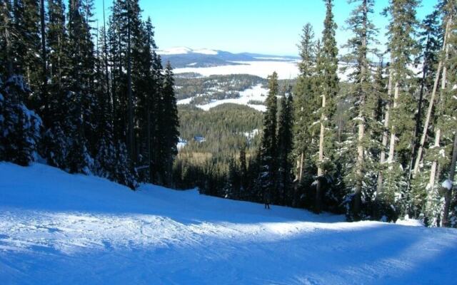 Pinetop Forty Niner 2 Bedroom Cabin