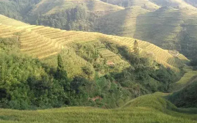 Longji Leyuan Hotel