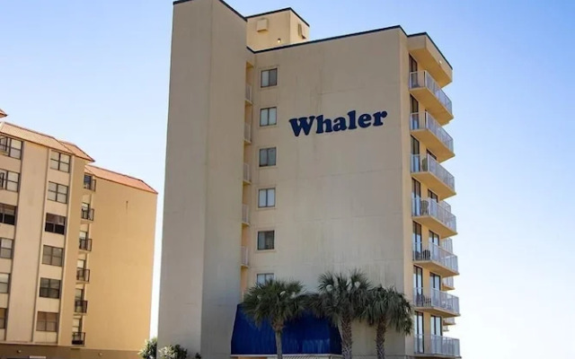 The Whaler B3