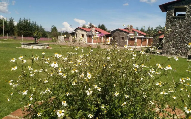 Cabañas El Pedregal