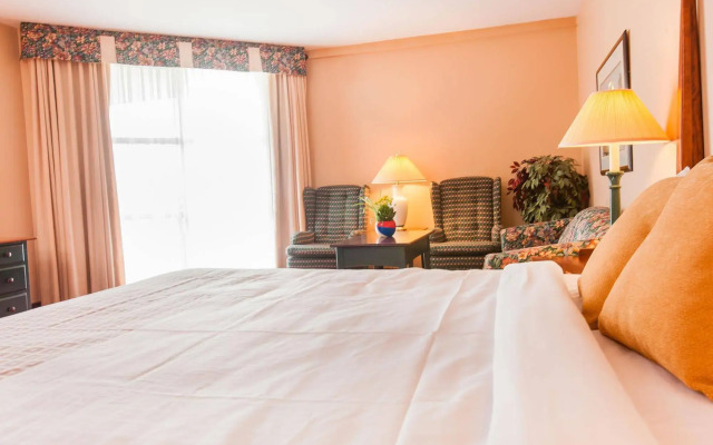 Rodd Brudenell River