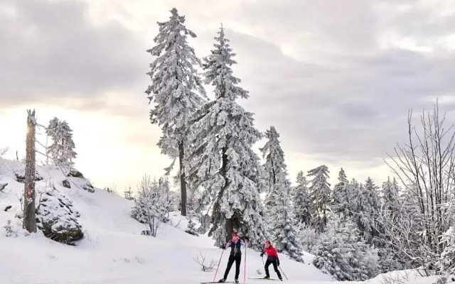Apartment in Langdorf Near ski Trails
