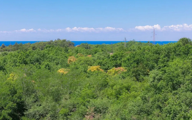 Bibali in Bibali With 3 Bedrooms and 3 Bathrooms