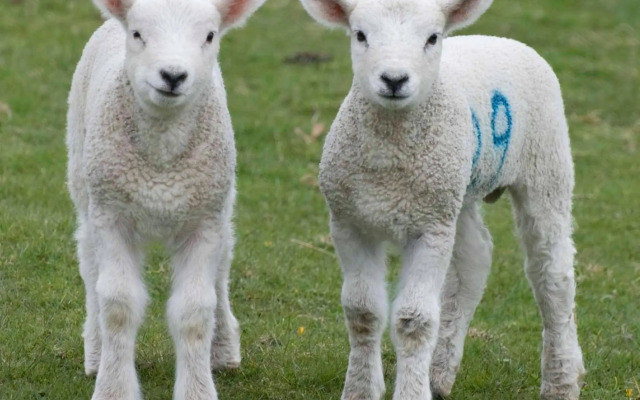 Ravenstone Lodge Country House Hotel