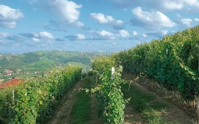 Cantina Monpissan