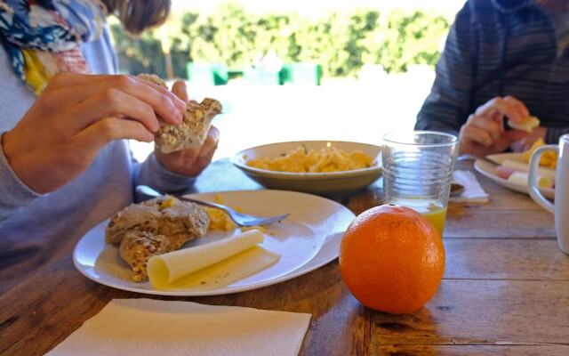 FreeSurfCamp & Hostel