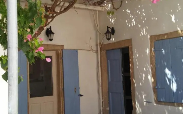 The large bougainvillea house