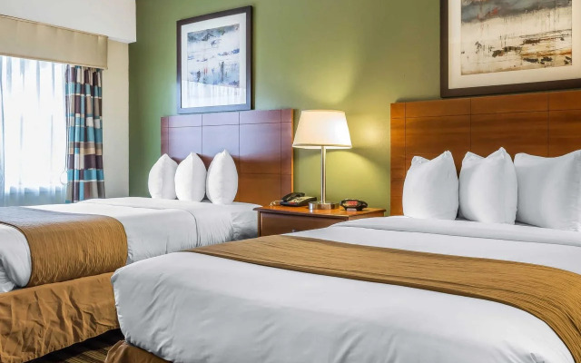 Quality Inn Flamingo